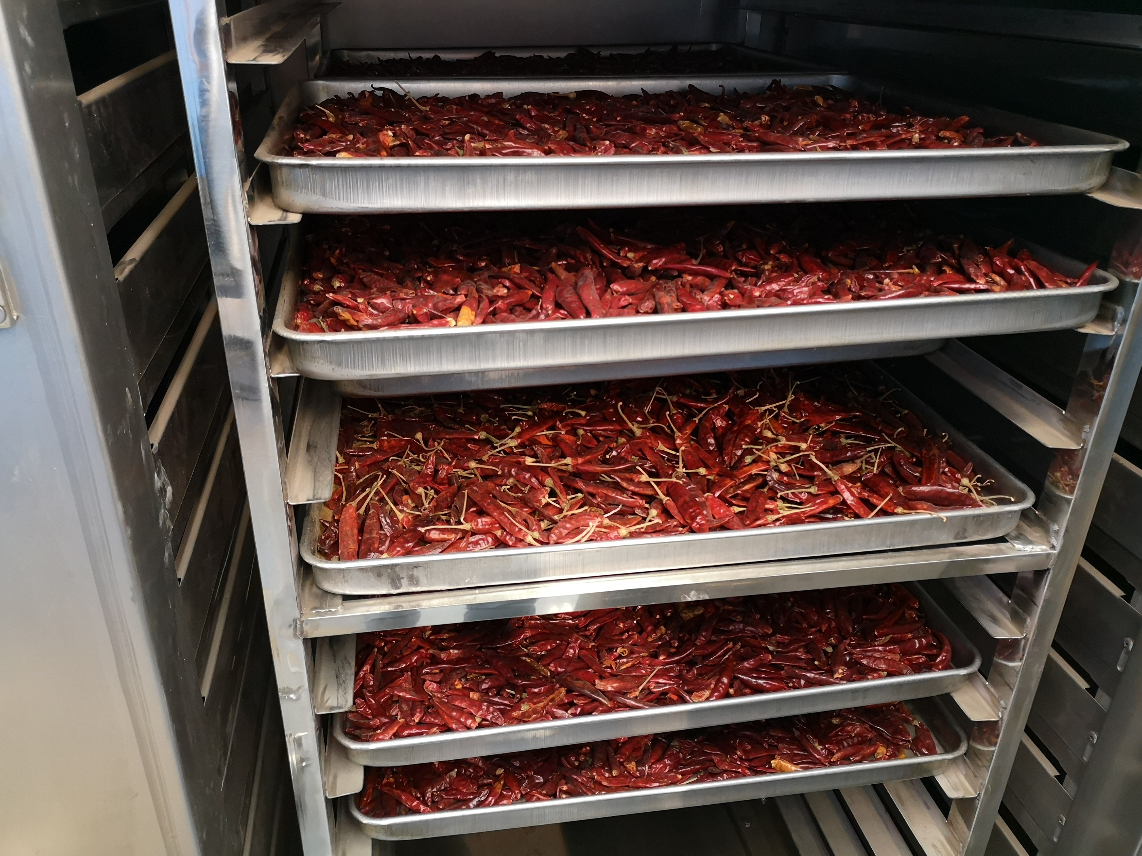 Ct-c-i Vegetable Drying Machine Apple Chip Dryer Machine Fruit Mango Dryer Machine Capacity: 300 Kg/day