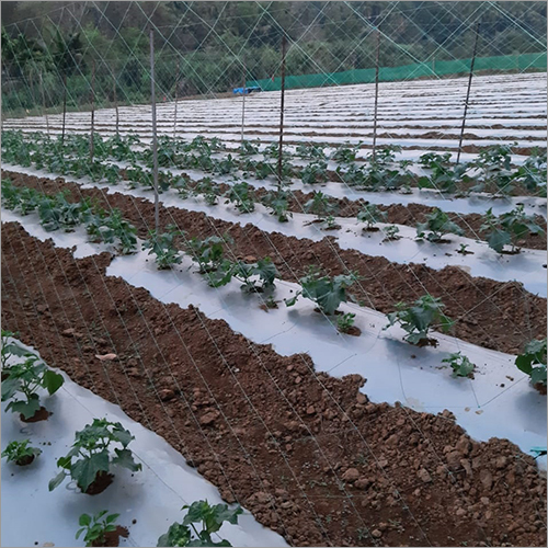 Crop Support Net