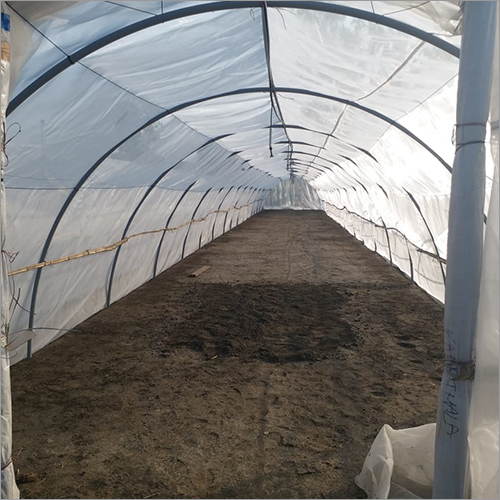 ग्रीन हाउस फिल्म