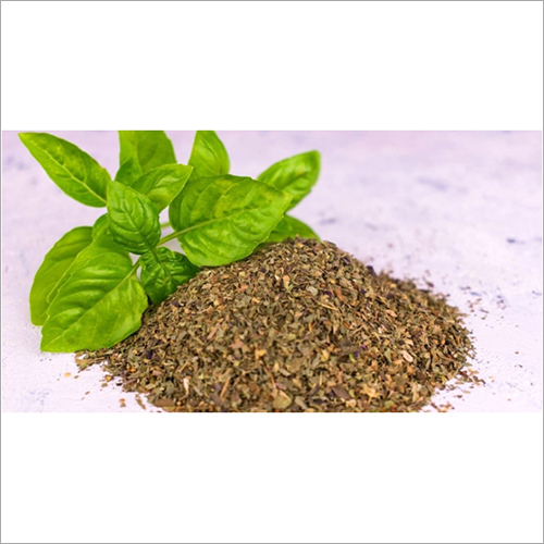 Basil -