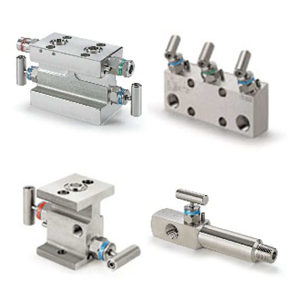 5 Way Instrument Manifold