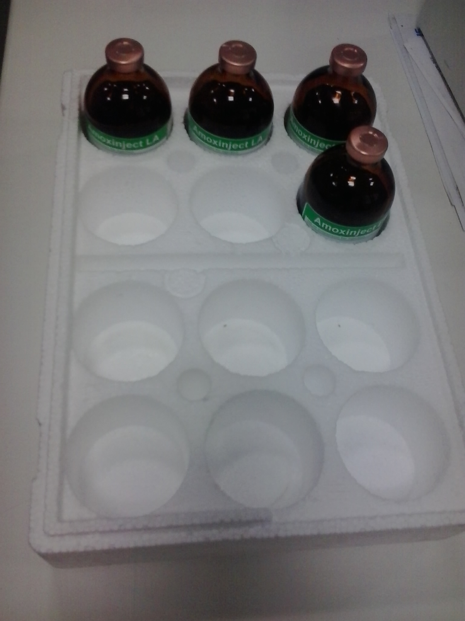 Thermocol Packaging Material