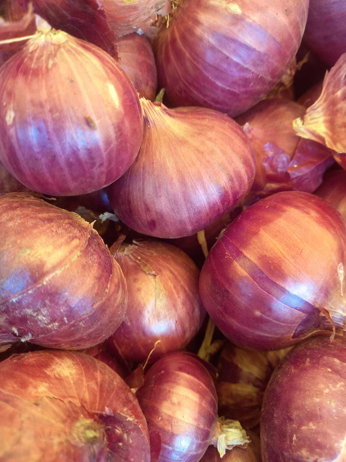 Fresh Red Onion