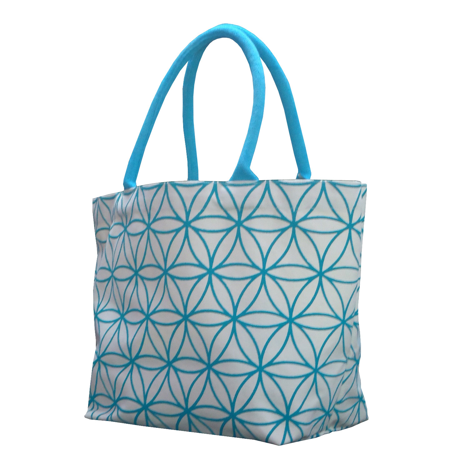 Canvas Tote Bag With Handle Capacity: 5 Kgs Kg/day