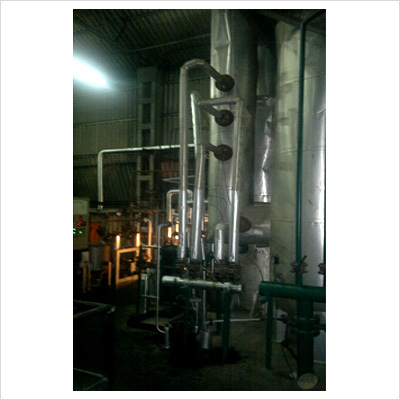 खाने योग्य वसा और तेल