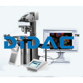 Inverted Microscope - 160x250mm Stage Size, 40x Objective With 0.65 Na | Features Adjustable Illumination, Camera Connectivity, Large Working Distance