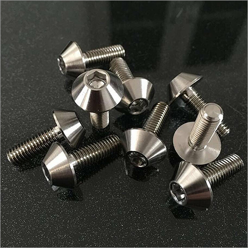 Stainless Steel Bolt