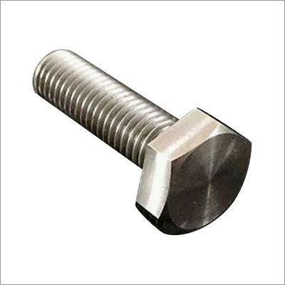 Stainless Steel Bolt