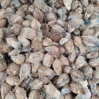 ब्राउन नेचुरल ड्राई नारियल