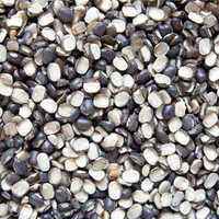 काले चने को तोड़ लें