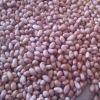 कच्ची मूंगफली