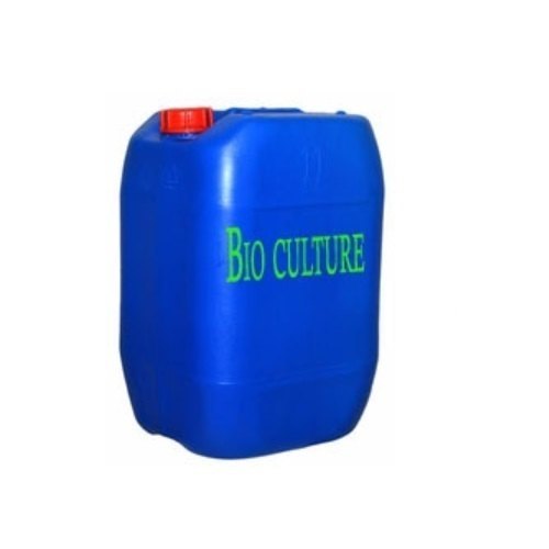 Bio Culture
