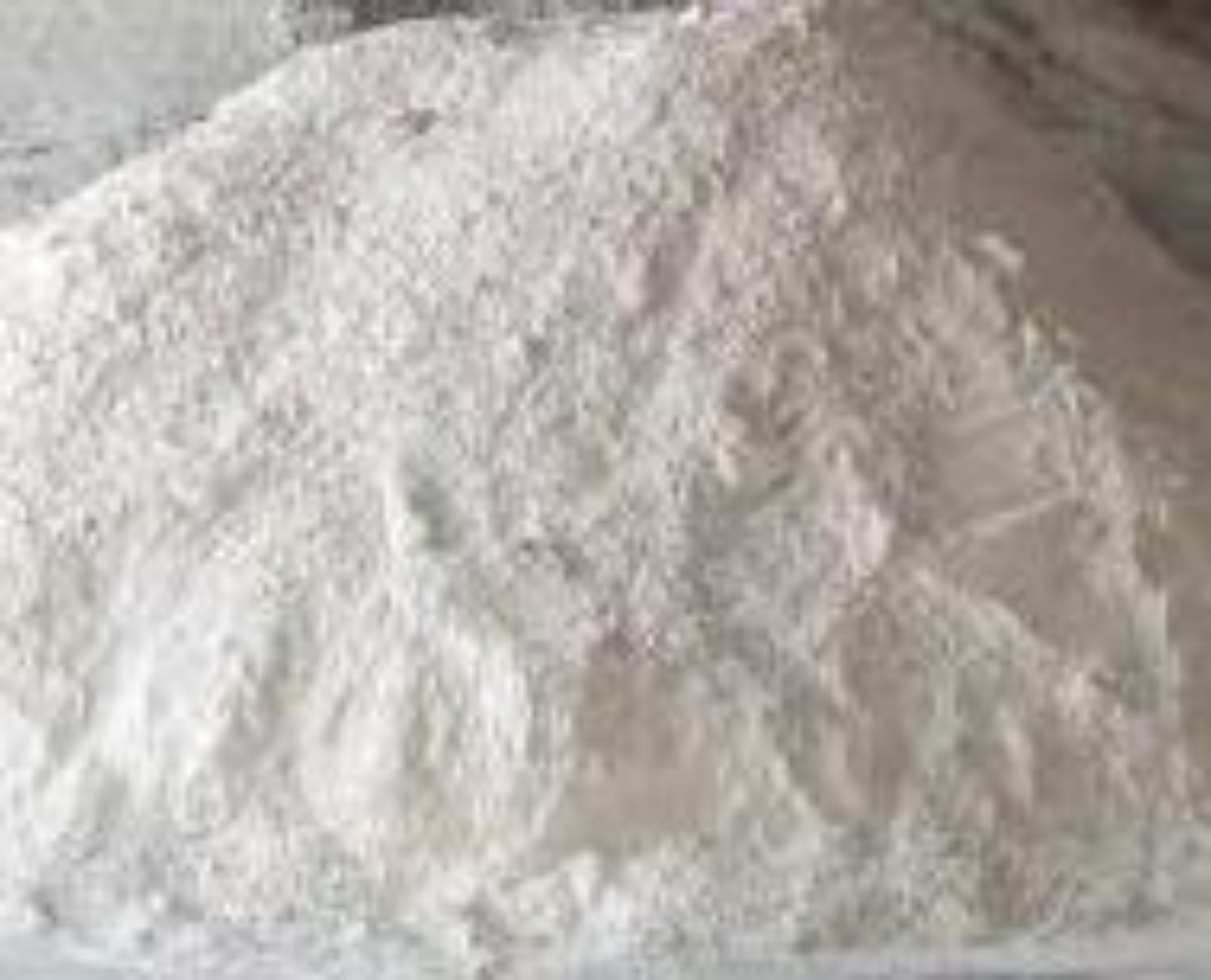 Dolomite Powder