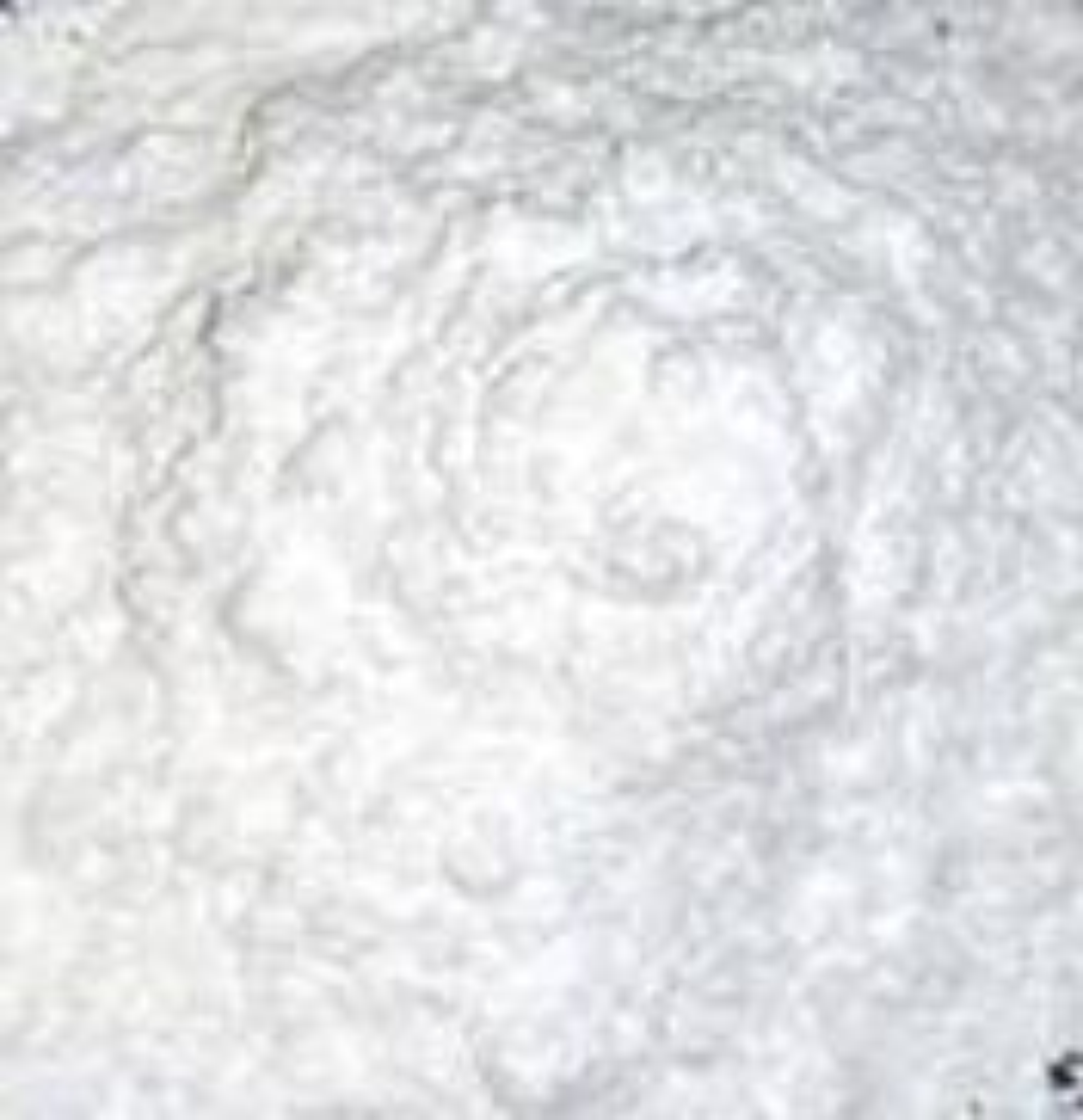 Dolomite Powder