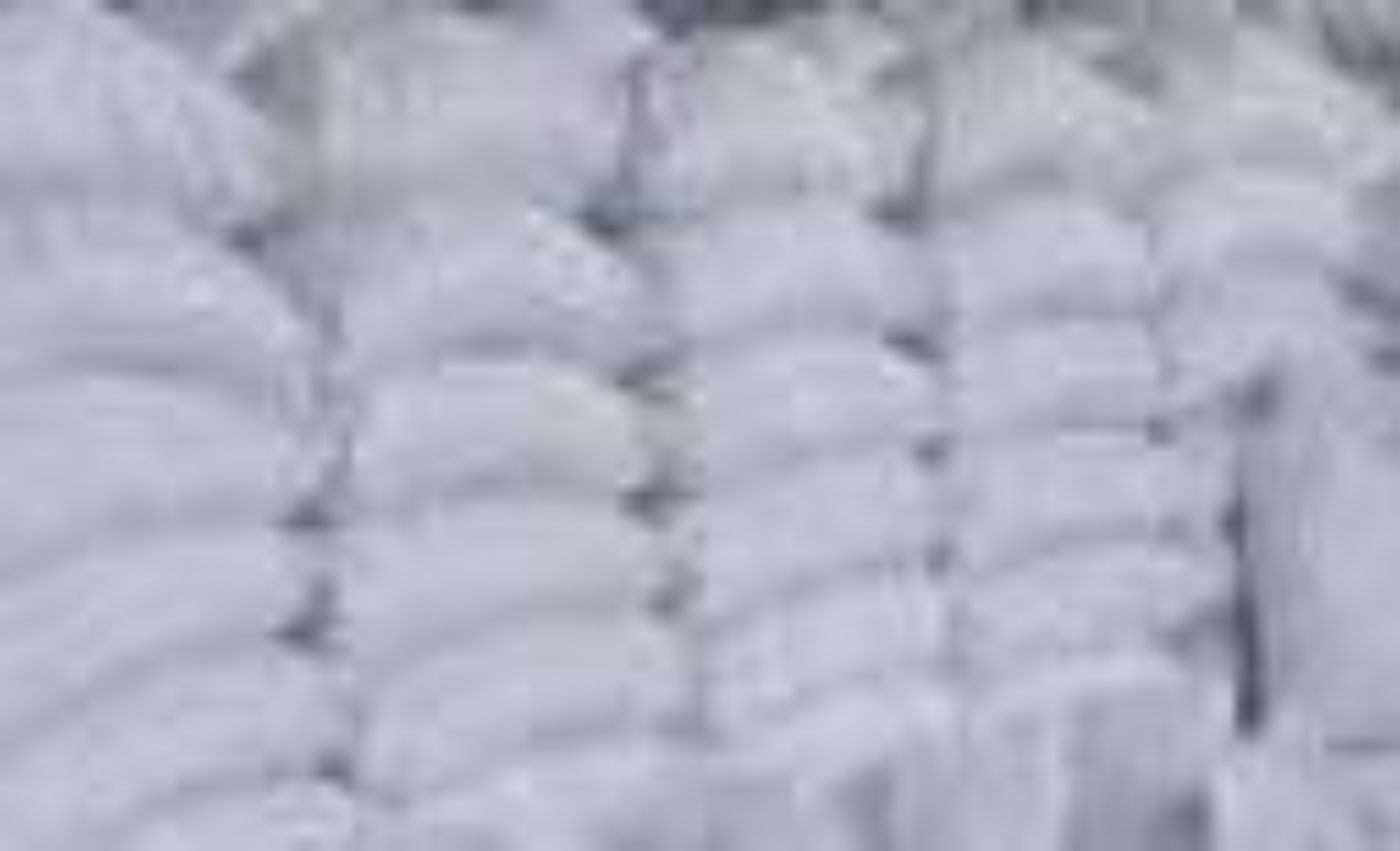 Dolomite Powder