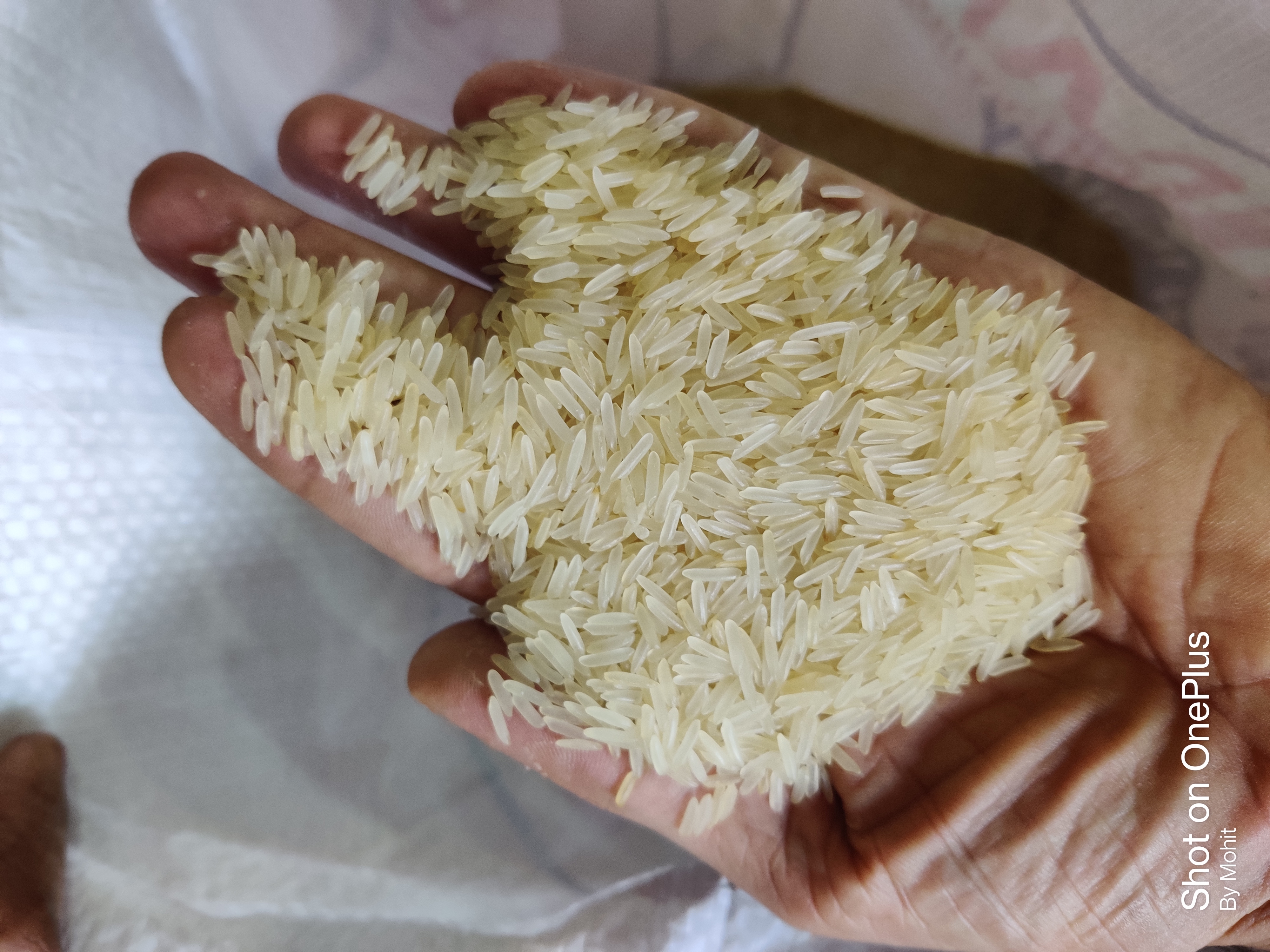 Rice Steam/ Parboiled