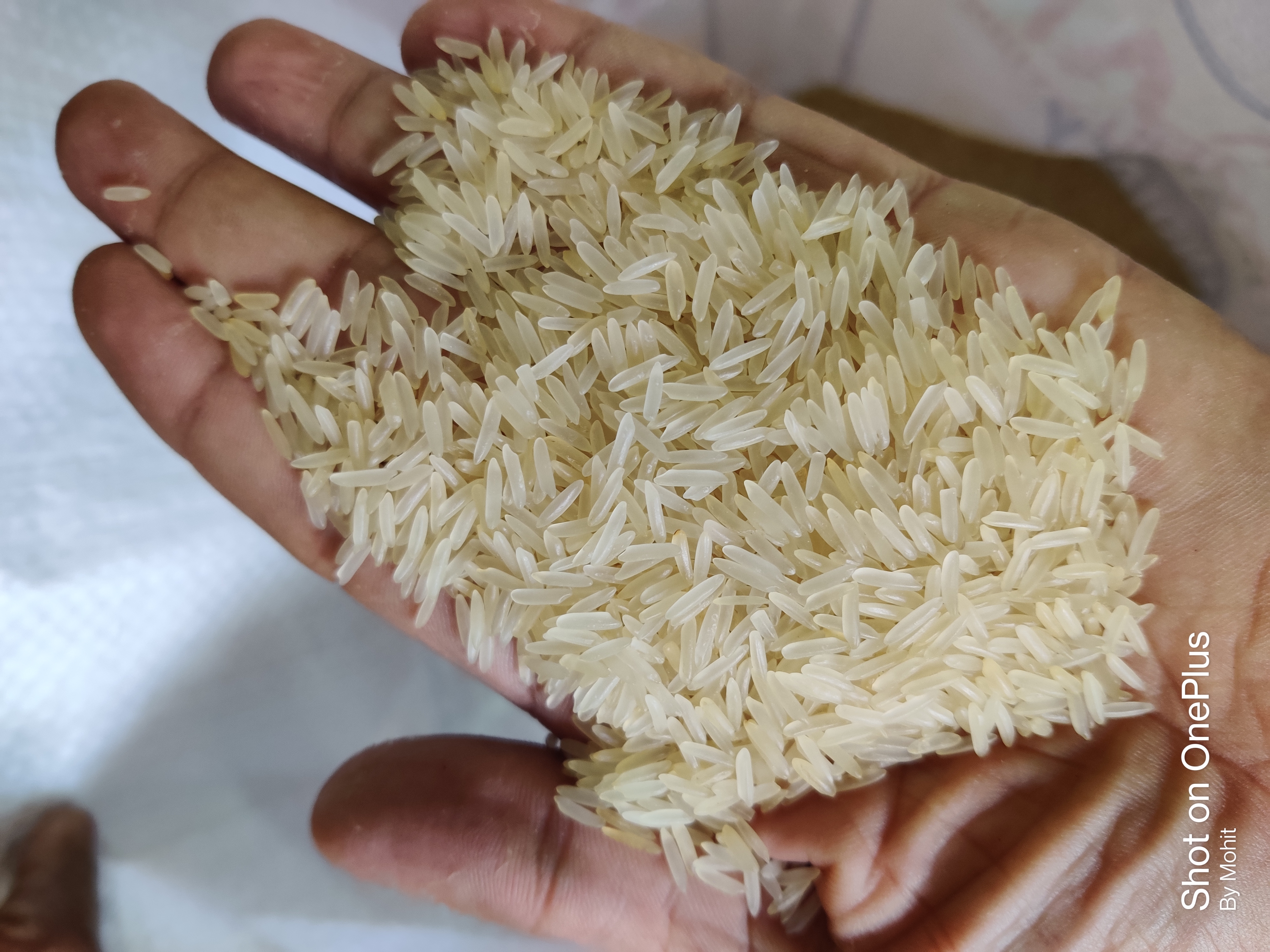 Rice Steam/ Parboiled