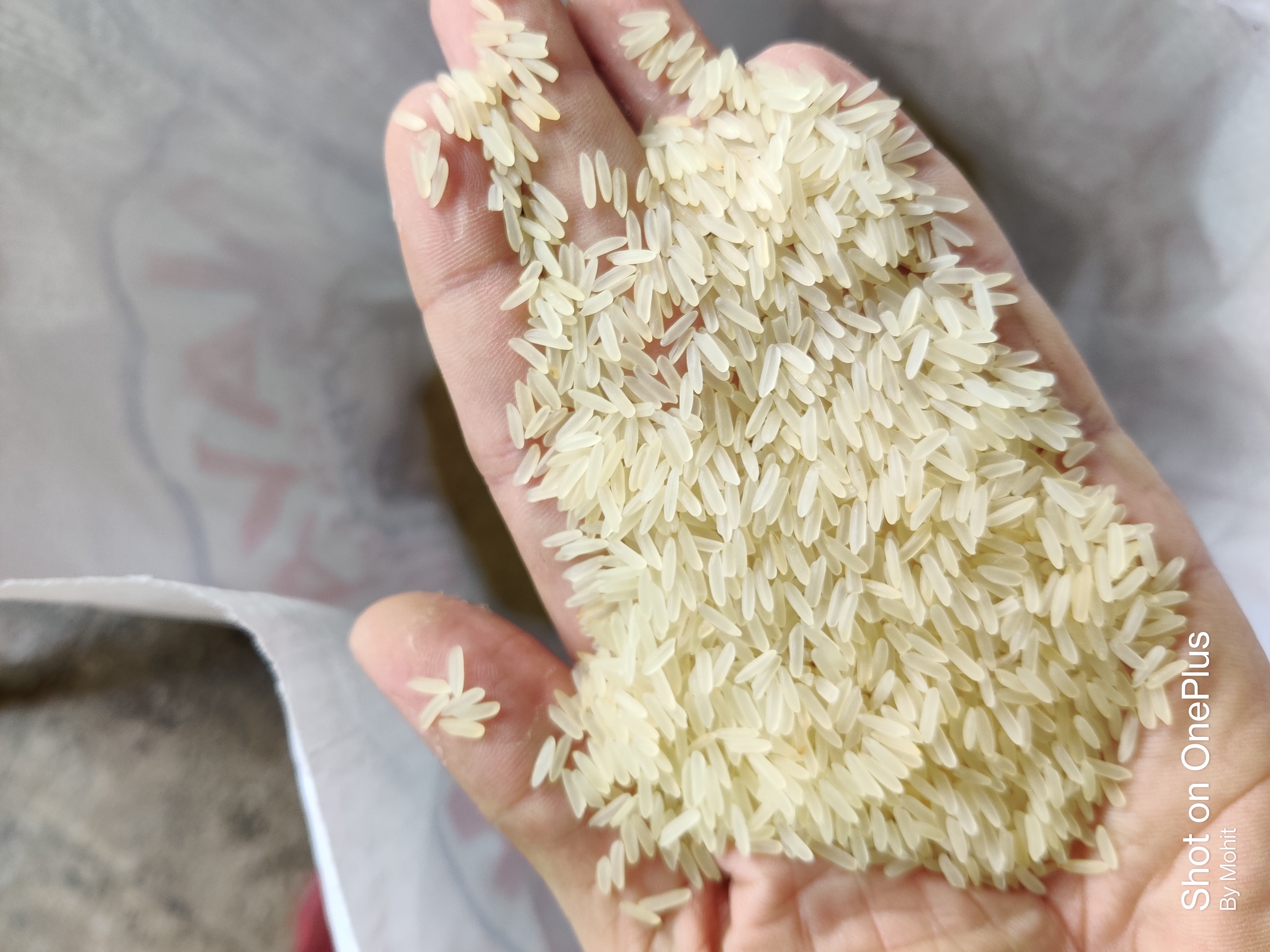 Rice Steam/ Parboiled