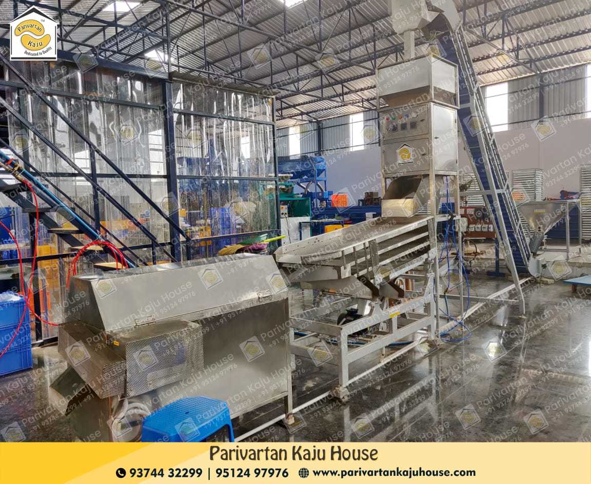 Cashew Kernel Grading Machine - Stainless Steel, 5.1 Ft X 2.0 Ft X 4.2 Ft | 250-1000 Kg/hr Capacity, 99% Accuracy, 1.00 Hp Electric Motor, Automatic Operation