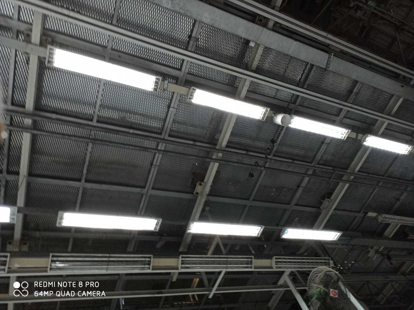 Conveyor Solutions - Premium Quality Slat, Belt, Roller, Mesh, Chain Types | High Strength, Hassle-free Material Transport
