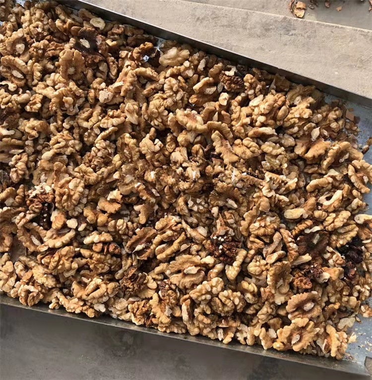 Industrial Walnut Shelling Machine Walnut Peeling Machine