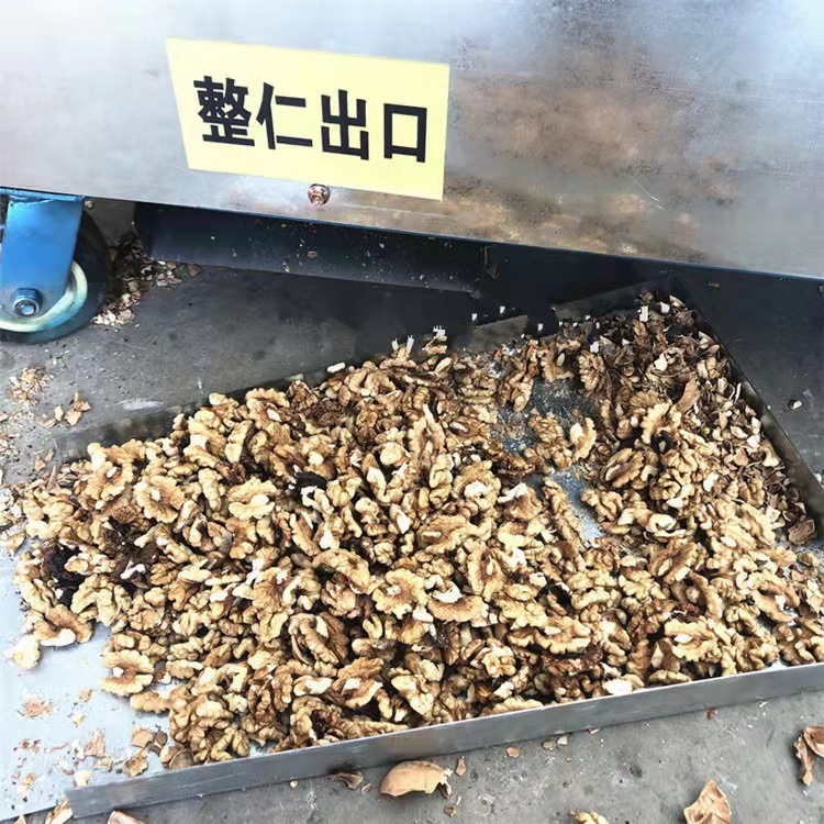 Industrial Walnut Shelling Machine Walnut Peeling Machine