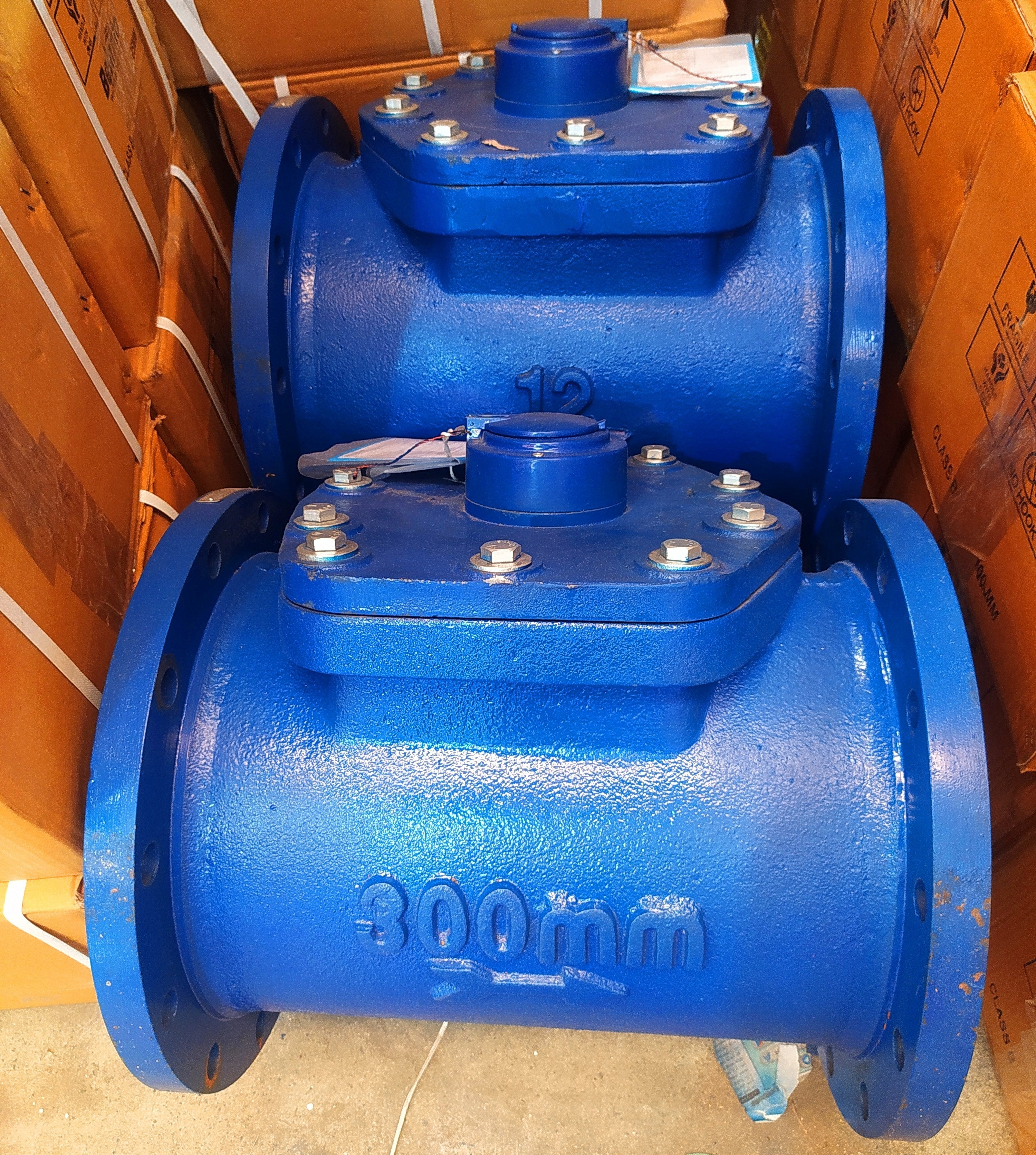 Woltman Type Class B (Iso 4064) Flange End Water Meter - Accuracy: +_2% %