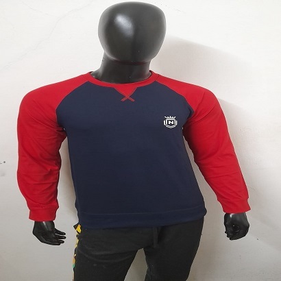 Screen Printed T Shirt Age Group: Adult