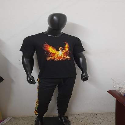 Screen Printed T Shirt Age Group: Adult