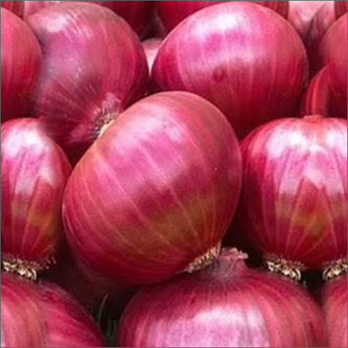 Fresh Red Onion