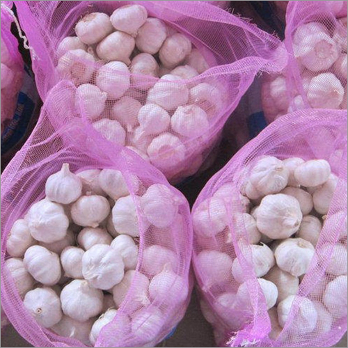 Fresh Garlic