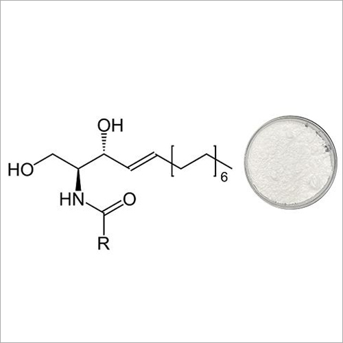 Ceramide Powder - Origin: China