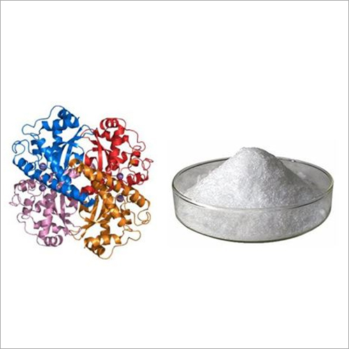 Superoxide Dismutase Powder - Color: White