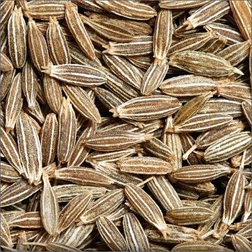 Cumin Seeds