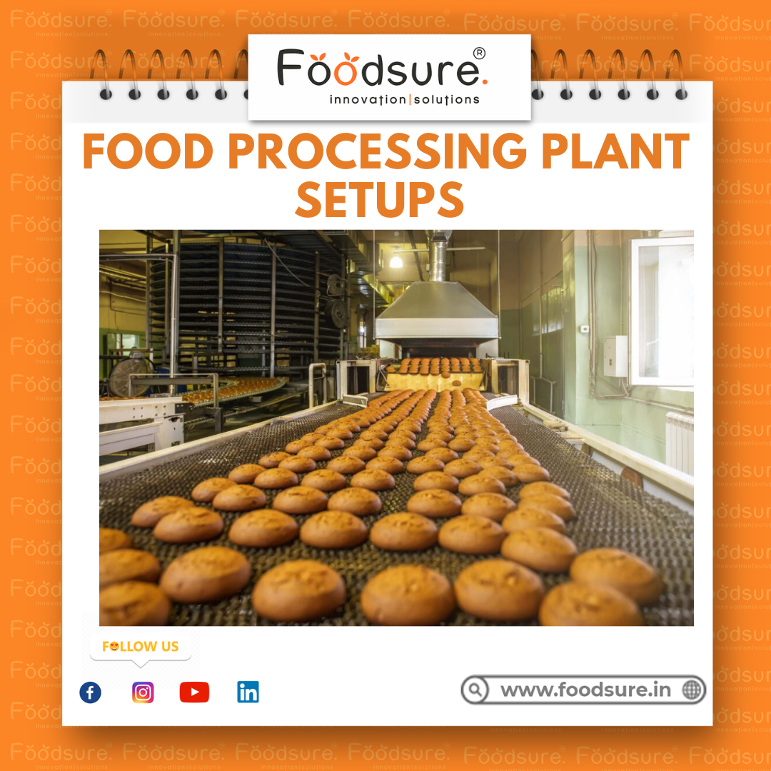 Food Processing Consultant - Capacity: Upto 1000 Kg