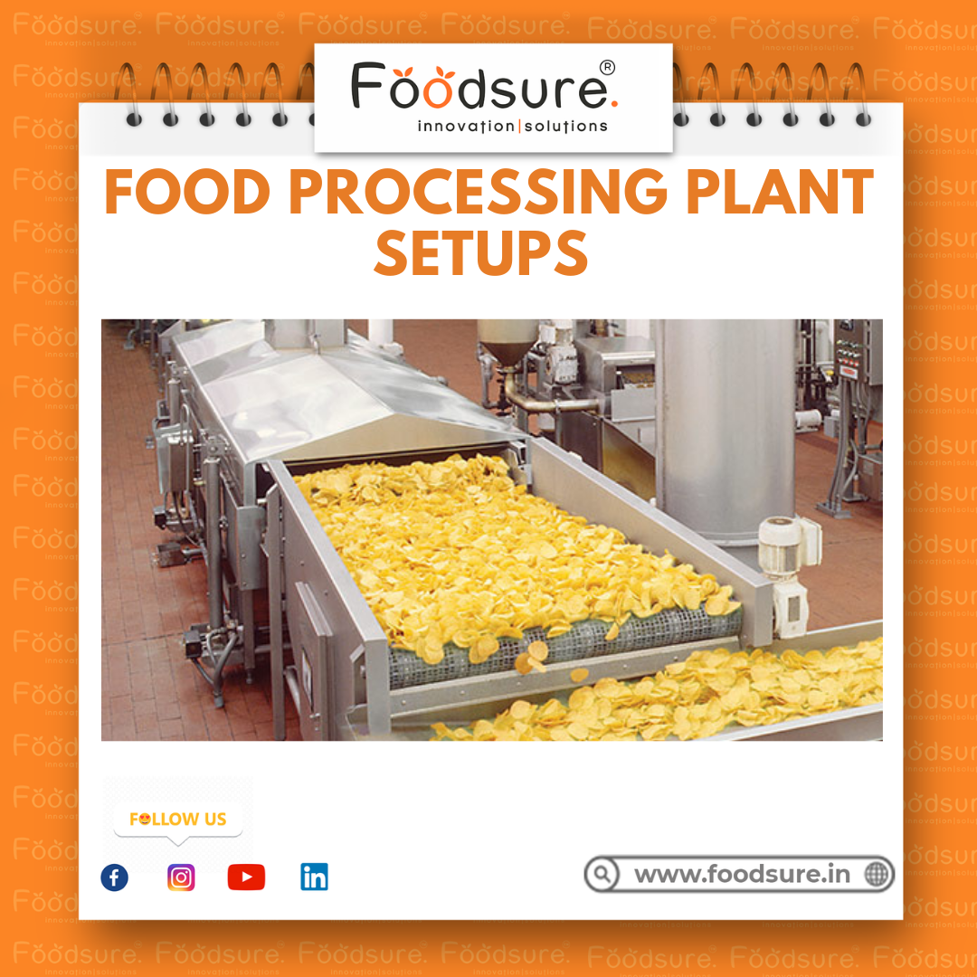 Food Processing Consultant - Capacity: Upto 1000 Kg