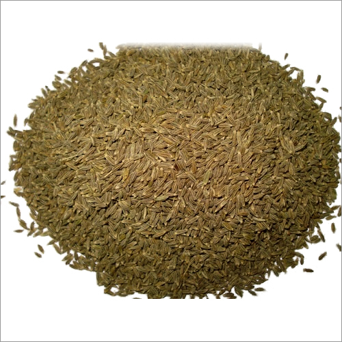 जीरा बीज