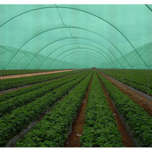 Green Agro Shade