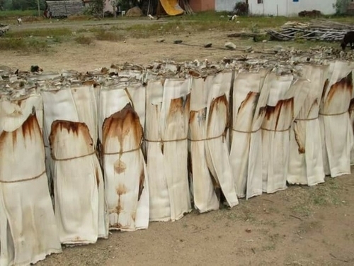 Areca Leaf Supplier in TamilNadu