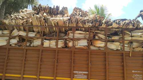 Areca Leaf Supplier In Madurai