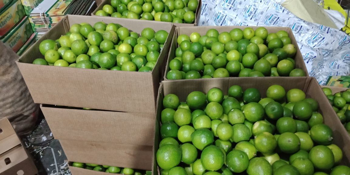 Common Fresh Green Lemon