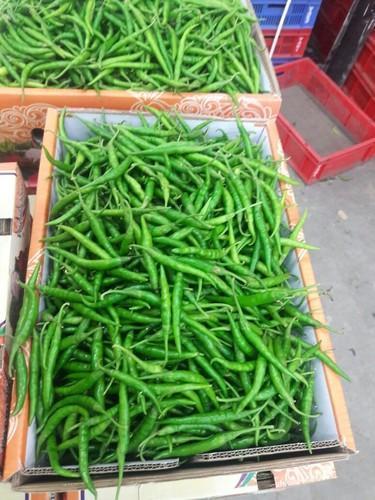 Green Chillies - Varying Size, Firm Texture, Elongated Shape | Rich In Vitamin C, Natural Source Of Iron, Enhances Meal Flavor And Skin Health