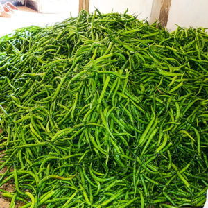 Green Chillies - Varying Size, Firm Texture, Elongated Shape | Rich In Vitamin C, Natural Source Of Iron, Enhances Meal Flavor And Skin Health
