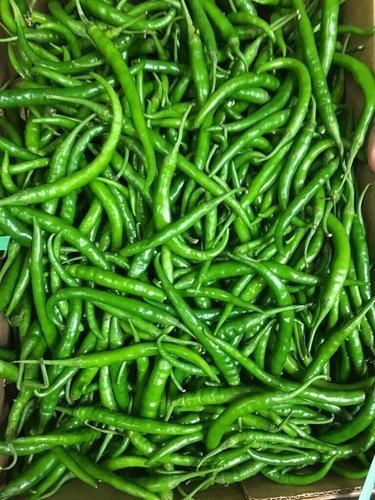 Green Chillies - Varying Size, Firm Texture, Elongated Shape | Rich In Vitamin C, Natural Source Of Iron, Enhances Meal Flavor And Skin Health