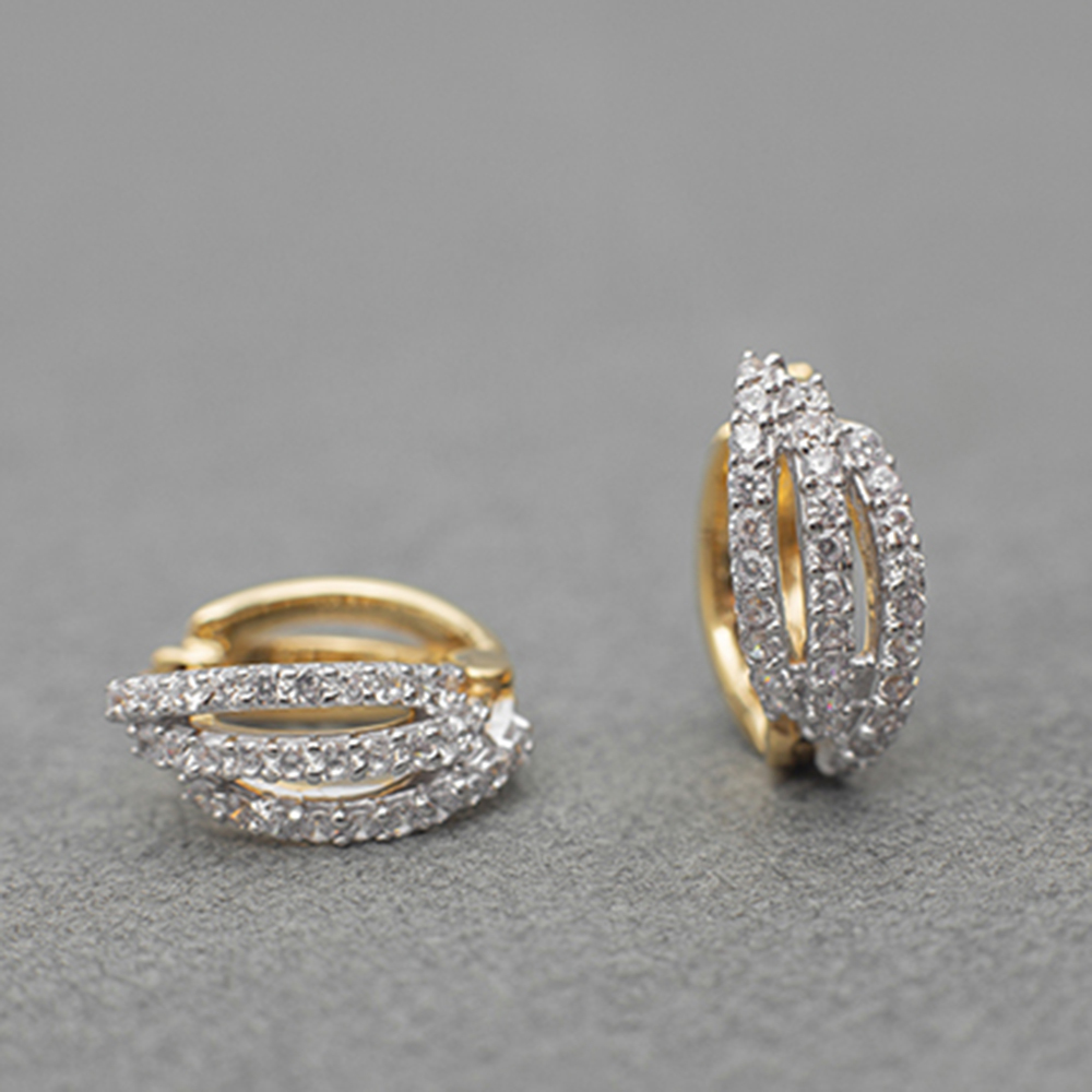 के एर 13663 लिंग: महिलाएं