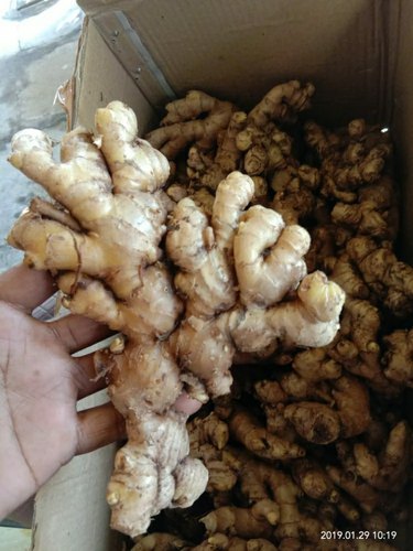 Fresh Ginger