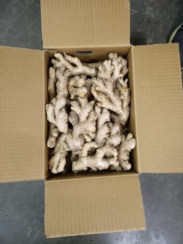 Fresh Ginger