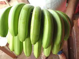Common G-9 Cavendish Banana