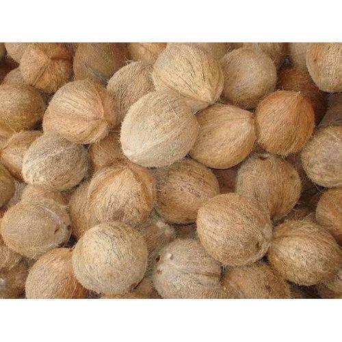 Semi-husked Coconut - 500g To 600g, Light Brown Matured Variety, Organic Round Shell