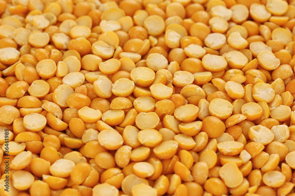 Toor Dal - Organic Dried Pigeon Peas, Yellow Split, 50 Lbs | 100% Purity, 3% Broken, 2% Admixture, 12% Moisture, Natural Grain Size